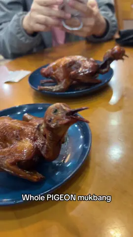 eat a pigeon with me!!! 🐦 #food #Foodie #FoodTok #foodtiktok #pigeon #china #chinesefood #mukbang #fyp #viral 