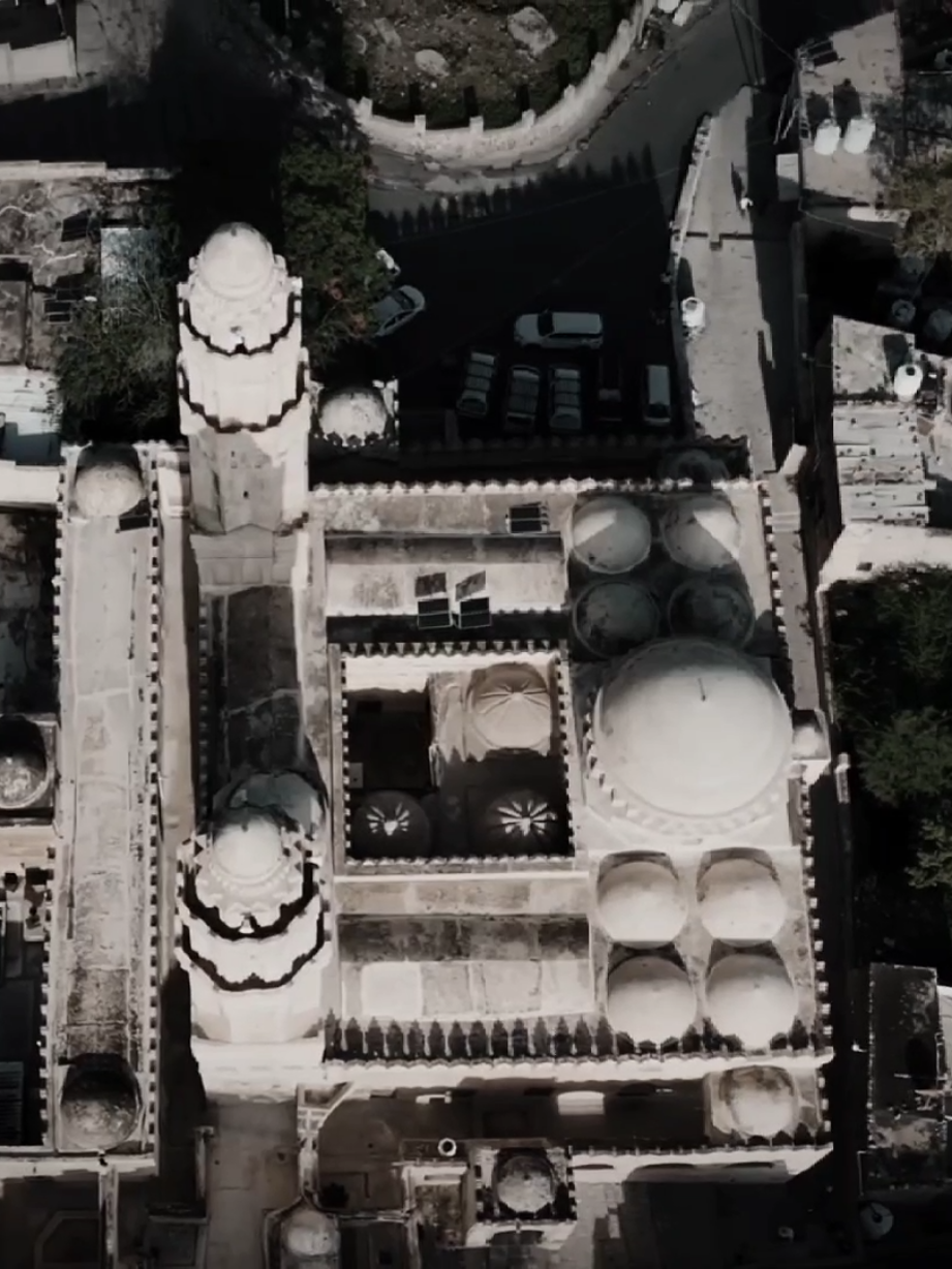 تختيم الترند مع اصل العرب 🇾🇪🔥#اليمن #yemen 