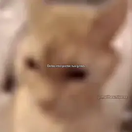 Doma-josean log #factos #tts #parati #bonitas #cats #cat #fyppppppppppppppppppppppp #musica #dedicar #amor #paratiiiiiiiiiiiiiiiiiiiiiiiiiiiiiii #fyp #joseanlog 