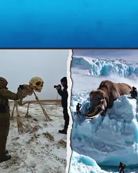 Criaturas encontradas en el hielo  Que cosas pueden guardar los glaciares #lgdv #laguiadelvaron 