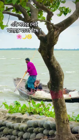 #foryou #foryoupage #trendingtiktok #tik_tok #viralvideo #viralvideo 