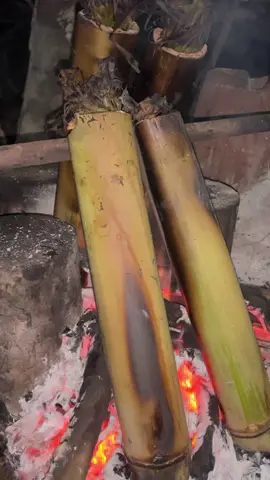 Menu sahur tadi subuh bakar bambu dengan isian ayam kampung dengan di tambah beberap bumbu2 racikan khas tradisional Lamaholot Adonara NTT #fypシ #videotiktok #tiktokviral #kontenkreator #adonara_flotim_ntt #asmrcookingvideo #traditional 