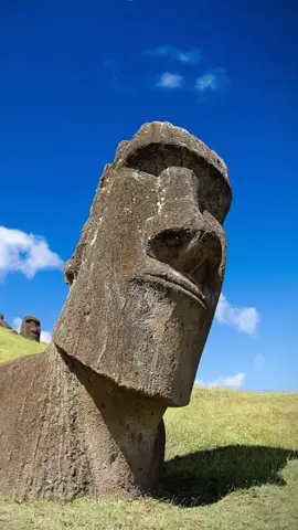 awokawokwkw . chat for credits  . . #fypシ #memes #memestiktok #memevideo #memedaily #memereceh #memengakak #memelucu #asupanmeme #funnymeme #funnyvideos #humortiktok #xybca #foryoupage 