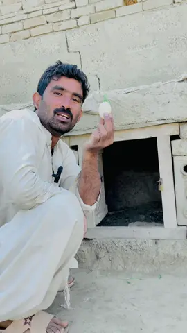 Murgi Ne Egg Da Dia #murgi #aseelmurgi #gabbarpethouse #petslovers #pets #foryou #foryoupage #unfrezzmyaccount #birdlover #aseellovers @Rehman Ch Vlogs 