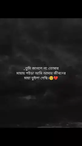 _তুমি জানলে না; তোমার মায়ায় পইড়া আমি আমার জীবনের মায়া ভুইলা গেছি। #😅💔 #fyp #foryou #foryoupage #fypシ゚ 