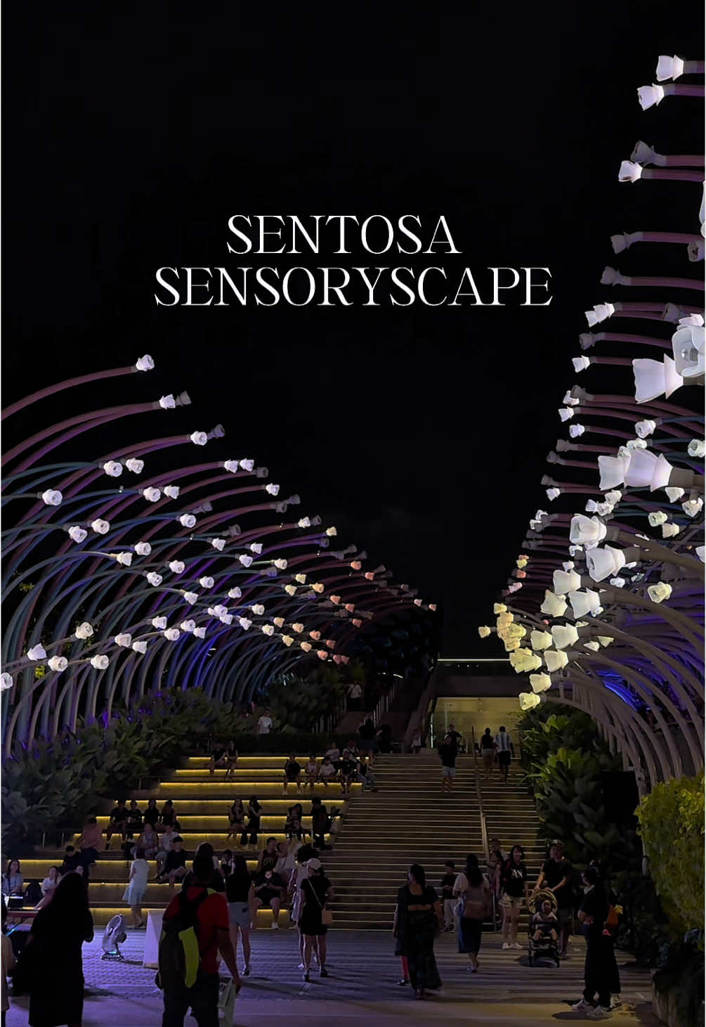 Sentosa beauty in the night✨ Sentosa Sensoryscape is an immersive multimedia attraction located on Sentosa Island in Singapore. It’s bring art and nature together as unique experiences. 📍Sentosa Sensoryscape, Sentosa Island, Singapore ⏰Open 24/7 (Immersive experience runs 7:50PM-9:40PM Daily) #robthort #immersive #immersiveart #flowers #nature #digitalart #sentosa #sentosasensoryscape #visitsingapore #exploresg #singapore #tiktoksg 