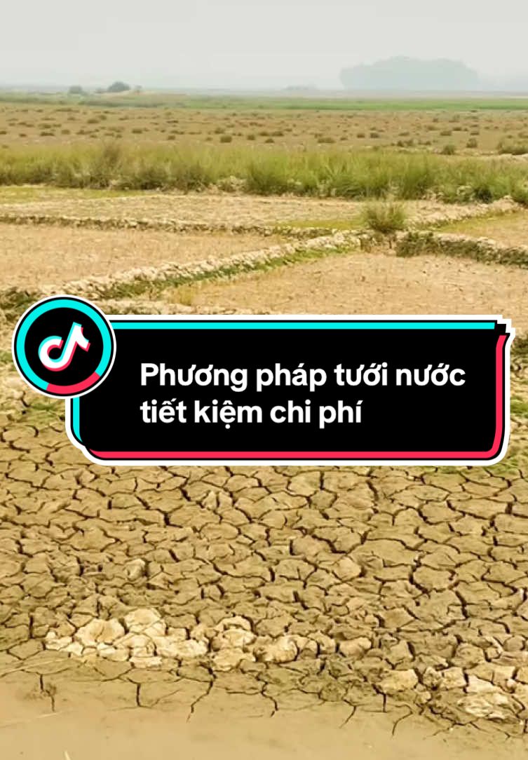 💧 4 GIẢI PHÁP CHỐNG HẠN HIỆU QUẢ CHO BÀ CON! 🚜☀️ 💥 Hạn hán & xâm nhập mặn năm nay có thể ảnh hưởng lớn, nhưng bà con đừng lo! 🌾 Chủ động áp dụng các biện pháp thông minh sau để giảm thiểu thiệt hại: 🔹 Phương pháp 1: Tưới nhỏ giọt 💦 – Cung cấp nước trực tiếp đến gốc cây, giảm thất thoát tới 50%. 🔹 Phương pháp 2: Tưới phun mưa có kiểm soát 🌦️ – Tiết kiệm nước, giảm chi phí nhân công & phù hợp nhiều loại cây trồng. 🔹 Phương pháp 3: Tưới nước vào sáng sớm hoặc chiều mát ⏰ – Hạn chế bốc hơi, giúp cây hấp thụ nước tốt hơn. 🔹 Phương pháp 4: Phủ gốc bằng rơm rạ hoặc nilon 🌿 – Giữ ẩm đất, tiết kiệm nước tưới, thậm chí có thể tận dụng bạt để hứng nước mưa cho sau này. ✅ Tận dụng tối đa nguồn nước – Bảo vệ mùa màng bền vững! 🌍🚜 📌 Follow ngay để cập nhật thêm nhiều mẹo nông nghiệp thông minh! 🌱🌾 #TietKiemNuoc #NongNghiepThongMinh #ChongHanHieuQua #AgriThếGiớiNôngNghiệp #agrithegioinongnghiep 🚜