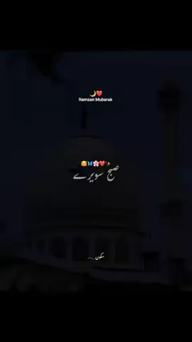 #duet with @࣪ ִֶָ☾.𓂃سکون #foryou 