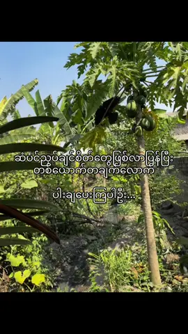 ပါးချပေးကြပါဦး#fypシ゚ #viral #fyp #foryou #foryoupage #tiktokmyanmar #ရောက်ချင်တဲ့နေရာရောက်👌 