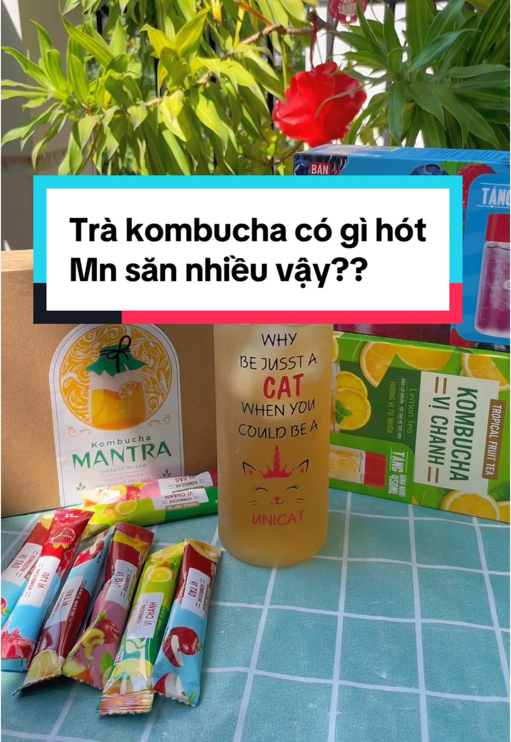 Kombucha có gì hót, tác dụng ?? Mn săn nhiều vậy #tieungocreview #kombucha #kombuchadanggoi #trakombucha #nuocuongboduong 