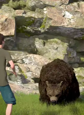 How To Escape A Grizzly Bear Attack 😨#fyp 