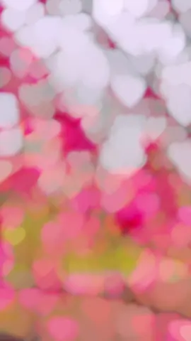 background video 😊🫶 #backgroundvideo #cropvideo #Cute_Adnan #ইনশাআল্লাহ_যাবে_foryou_তে। #unfrezzmyaccount 