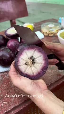 Vú sữa mica #ngancantho #bophoveque #Xuhuong #trending 