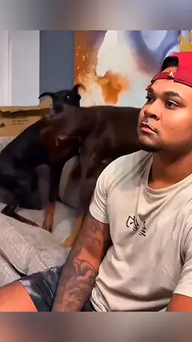 The end 😂 #pet #cat #dog #cute #animals #foryou #typ