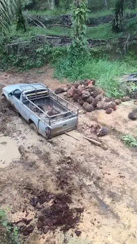 #fypシ゚viral ceritahariini