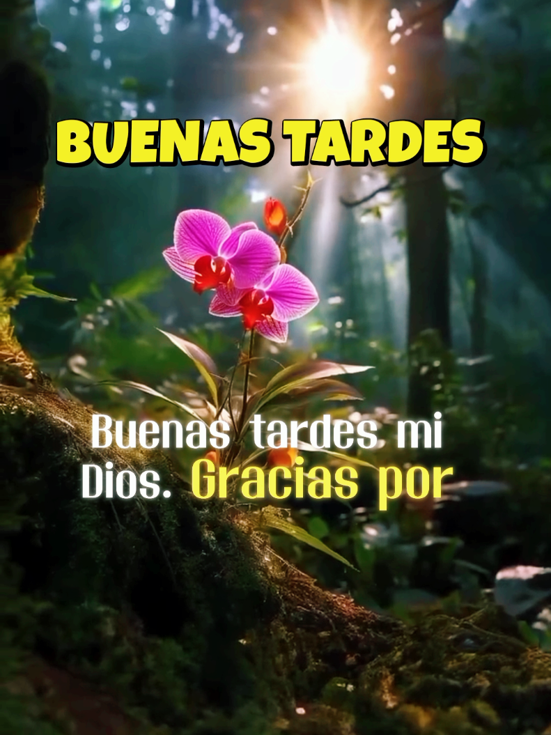 Buenas tardes mi Dios. #buenastardes #jueves #feliztarde #diostebendiga #elpoderdelsilencio22 #viral #paravoce #cristo #fe #force #motivacionpersonal #pray #Love #diosesamor #sabado #buenosdias #felizdia #goodmorning #jesus #jesuslovesyou 