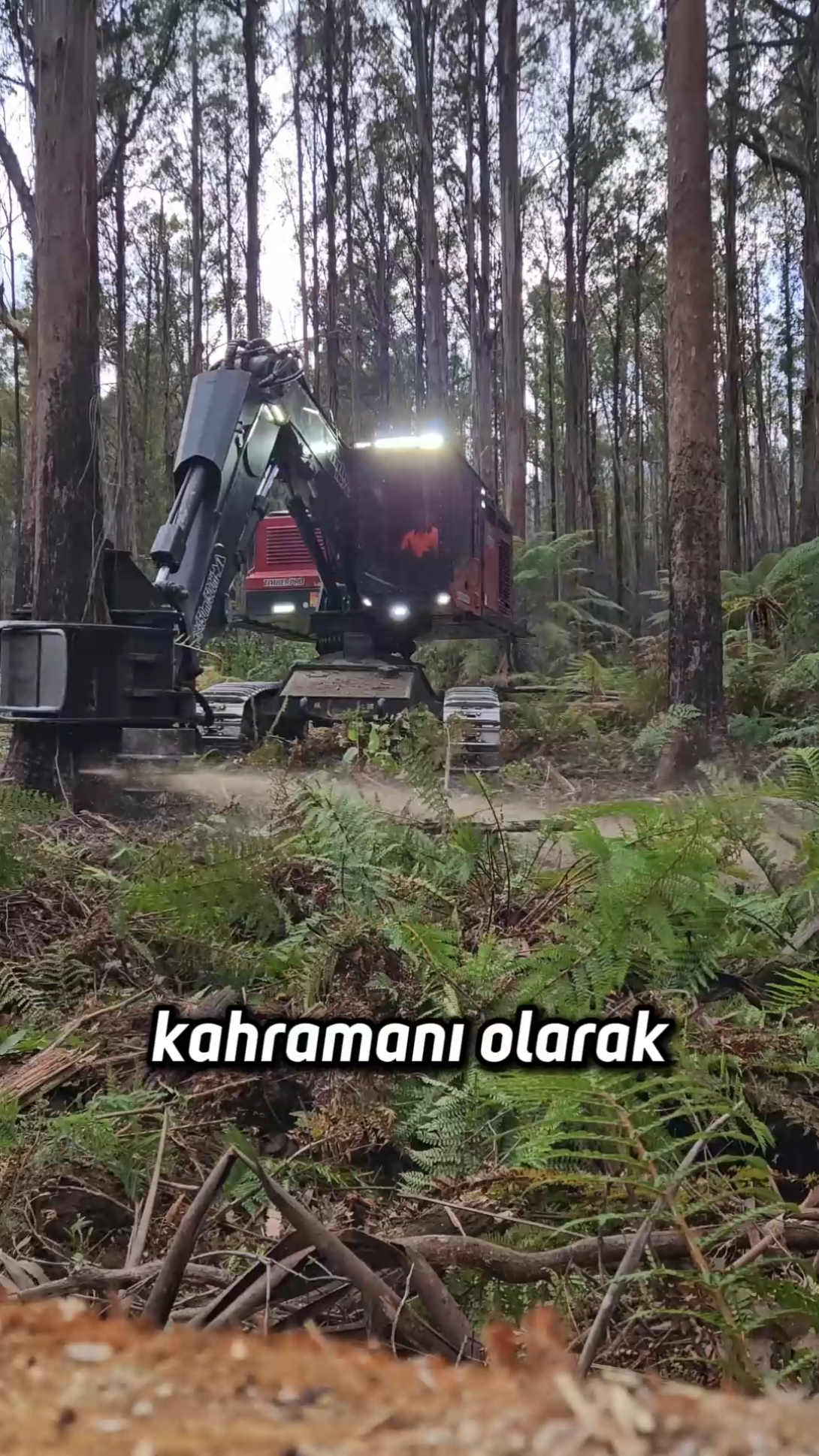 Ormanların yeni kahramanıyla tanışın: TimberPro TL765D! 🚀  342 beygir gücüyle gücün tanımını yeniden yazan bu dev makine, paletli alt yapısı ve akıllı dokunmatik kontrol paneli sayesinde orman işlerini kolaylaştırıyor. Zorlu arazilerde dahi üstün denge ve performans sunan TL765D, işlerinizi daha hızlı ve daha verimli hale getirerek rakiplerinize fark atmanızı sağlıyor. Siz de orman işlerinizde gücü ve teknolojiyi deneyimlemek ister misiniz? 🌲🚜 Orman işlerinizde hangi makineyi kullanıyorsunuz? Yorumlarda bizimle paylaşın! 👇 #ormancılık #makine #makinecim 