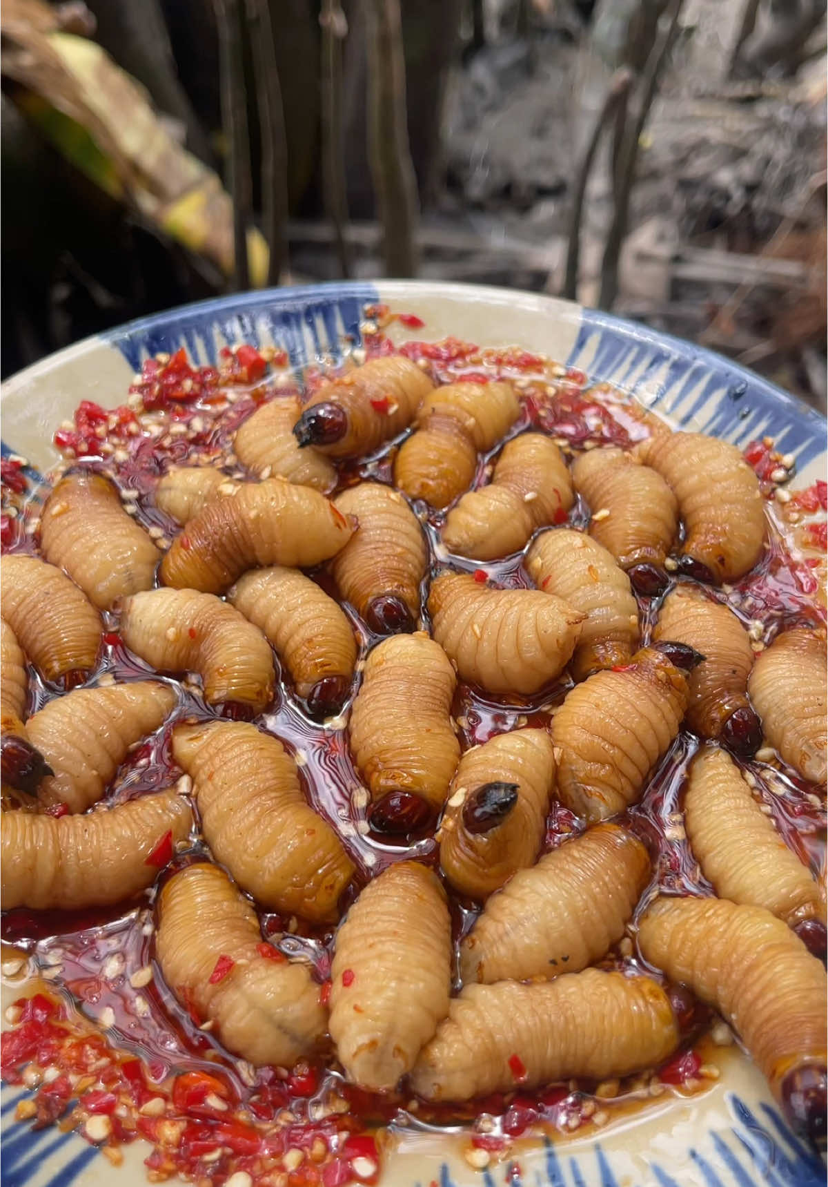 Có ai ăn thử con đuông dừa này chưa cô chú anh chị ơi😂##chaukieumy2k##mientay##gaimientay##monanmientay##mientayquetoi