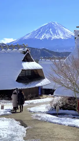 西湖いやしの里根場で富士山 📲2023/2/11 Mt.Fuji at Iyashi no Sato Nenba.  #japan #富士山 #mtfuji #snow #雪 