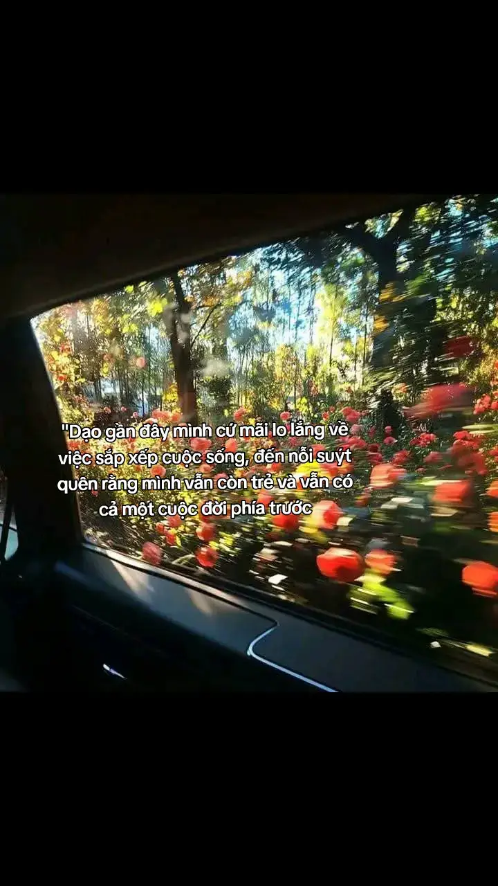 #lowzy277 #xuhuong #story #tamtrang 