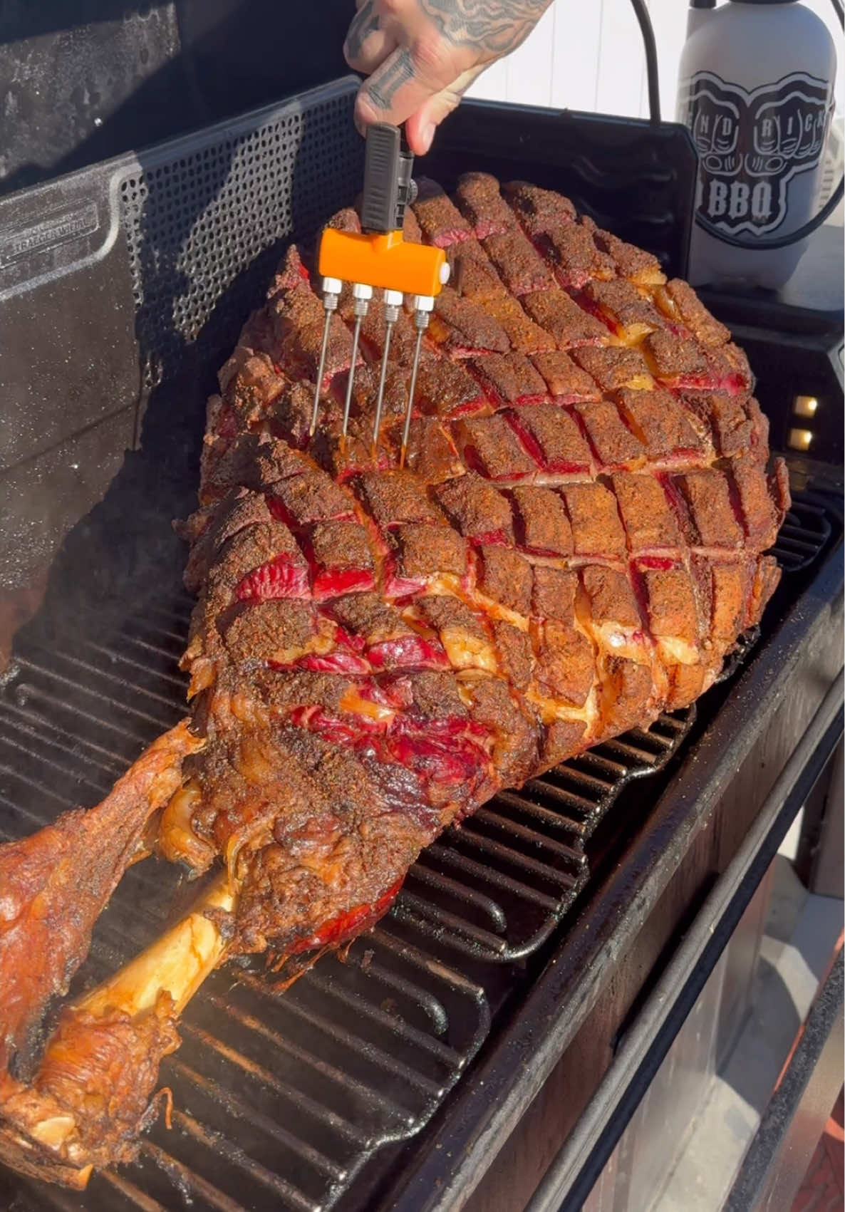 Smoking a 78 pound cow leg for 24 hours . #kendrickbbq #traegergrills #cowleg #beef #lowandslow #butcher #bbq #ramsayreacts @Gordon Ramsay @Traeger Grills @MEATER 