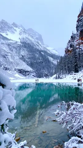 Snowy morning #canada #🇨🇦 #banff #snow #mountains 