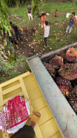 I love you adek 🤣@Muhammad abdi @fajri @albai_oce @() #storytime 