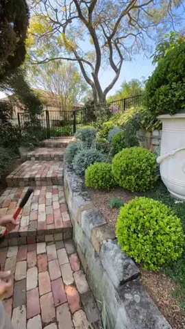 For those who love perfection🍃 #GardenTrim #GreenThumb #NatureInTune #PruningArt #LawnCare #PlanCareTips #MusicalGardening #TreeSculpting #OrnamentalGarden