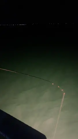 # Nói về tôi, xin người đừng yêu tôi#xuhuong2025🇻🇳 #nhactamtranghaynhattiktok #nhachaymoingay #nhacbolerohaynhat #nhactamtrang 