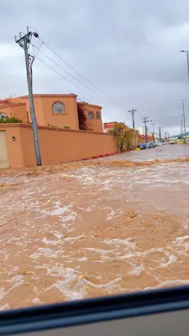 #حايل #مساء_الورد🌹🌹 #اكسبلور #اكسبلور #حايل_حايلنا #