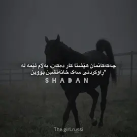 #shadan #foryou #fyp #foryoupage #fypシ #wtay_jwan #wtay_baqwat #وتە #fyyyyyyyyyyyyyyyy #fyppppppppppppppppppppppppppppppppppp @For You @ACTIVE ✔ 