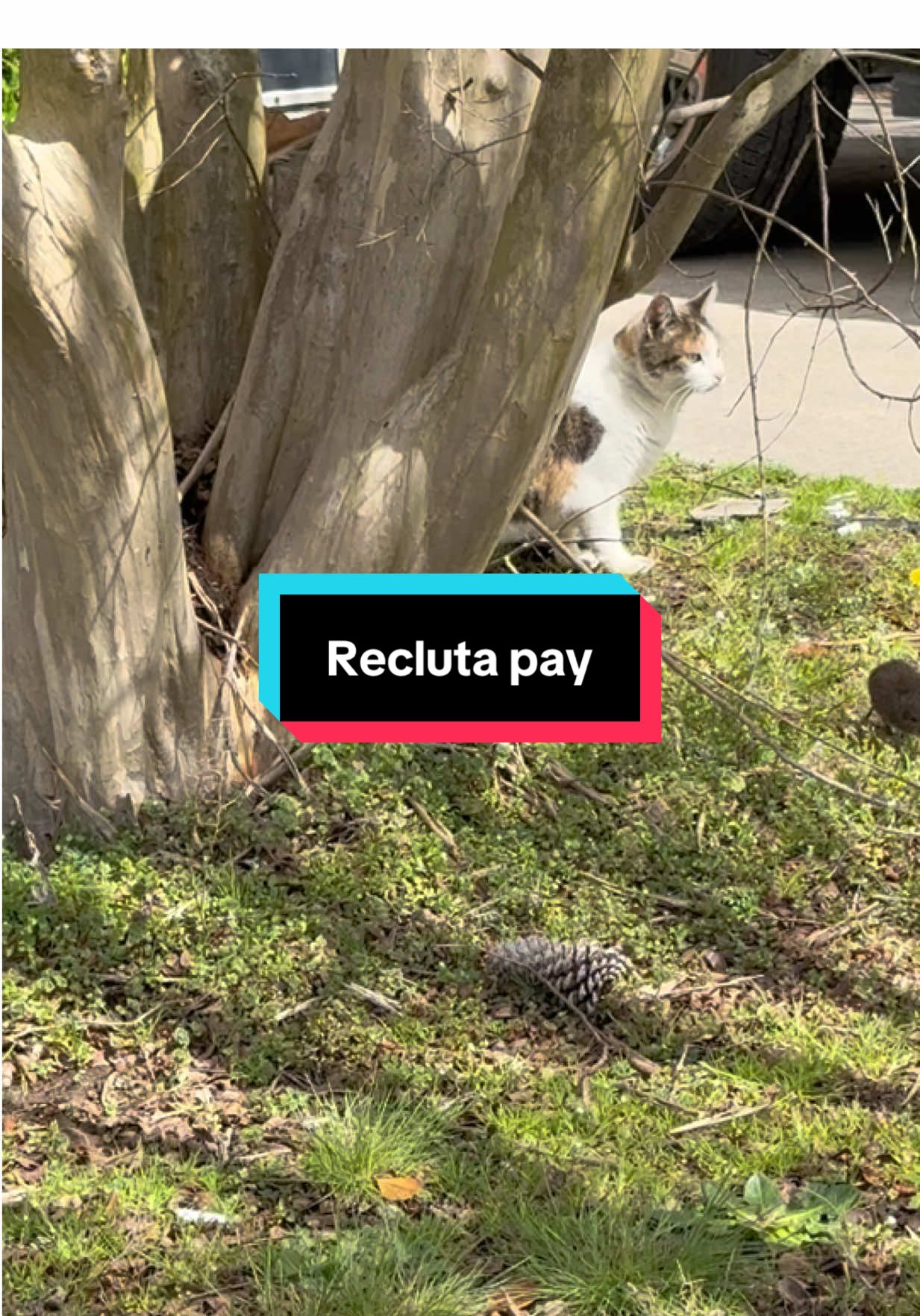 Cuando la vida  ya no te importa #memedeldia #memestiktok #memesvirales #reclutapay #lomasviral 