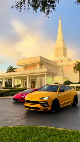 I will be champion one day. 👑 - #wealth #fyp #luxurylife #blowthisup 