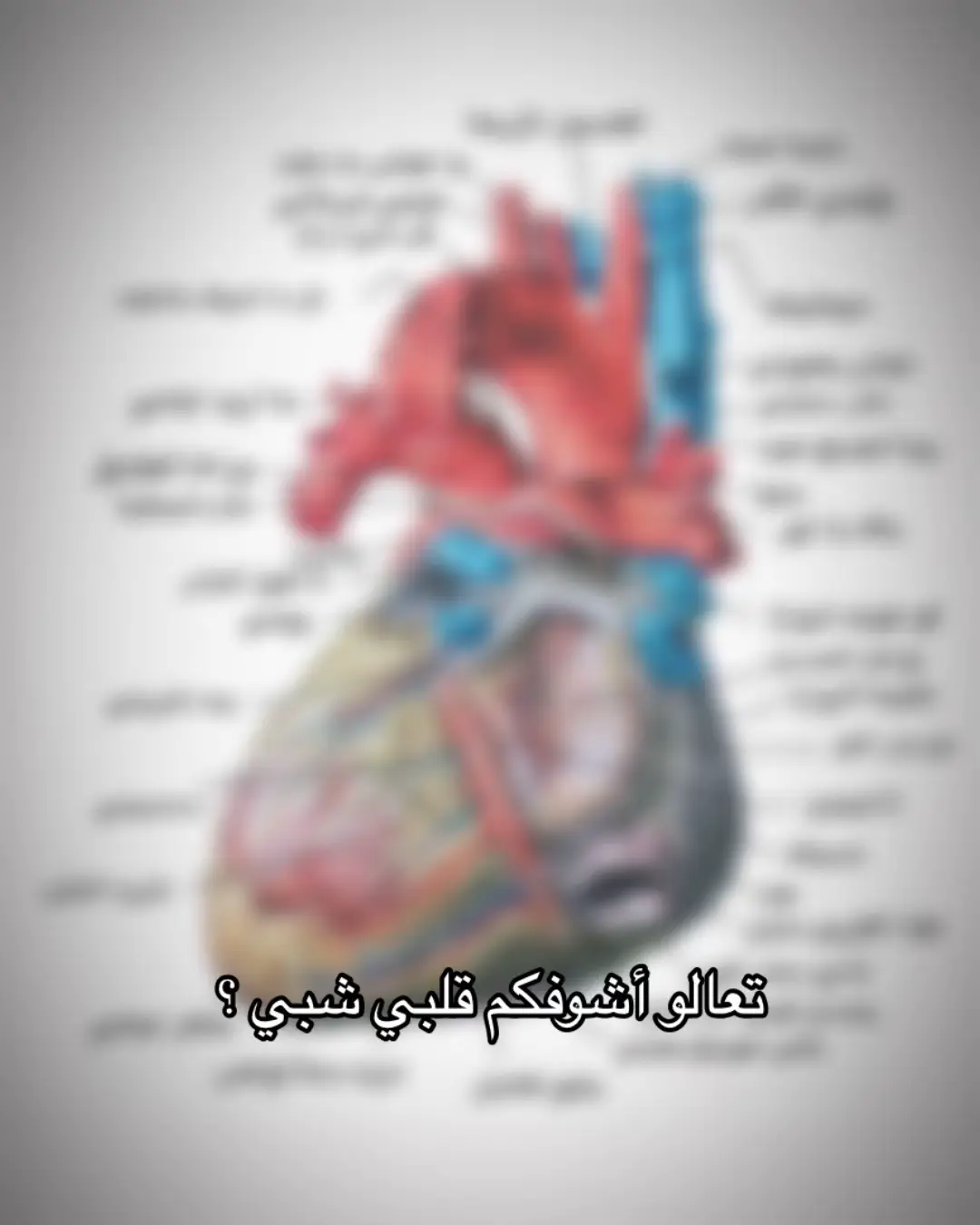 #CapCut #الشعب_الصيني_ماله_حل😂😂 #شيعي #مشاهدات #ياحسين #تصوير #قصايد #باسم_كربلائي  @A 