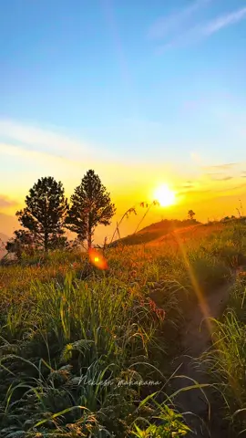 Sunrise 🇱🇰🍃💫 #fyp #foryou #foryoupage #foryoupageofficiall #viralvideo #viral #fypage #wildlife #travelsrilanka #srilanka🇱🇰 #1m #visitsrilanka #sunrise #srilanka #Hiking #nuwaraeliya #ohiya #wangedigala #kalupahana #sunrise #niklesh_mahanama #travel_with_nikii_💫 