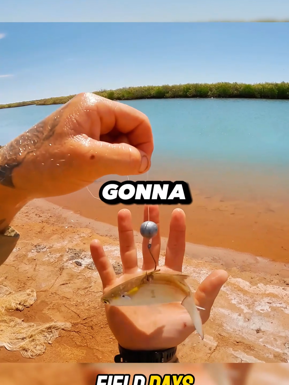 Surviving 2 weeks in the harsh bush P2 #camping #survival #fishing #Outdoors #catchandcook #viral #fyp 