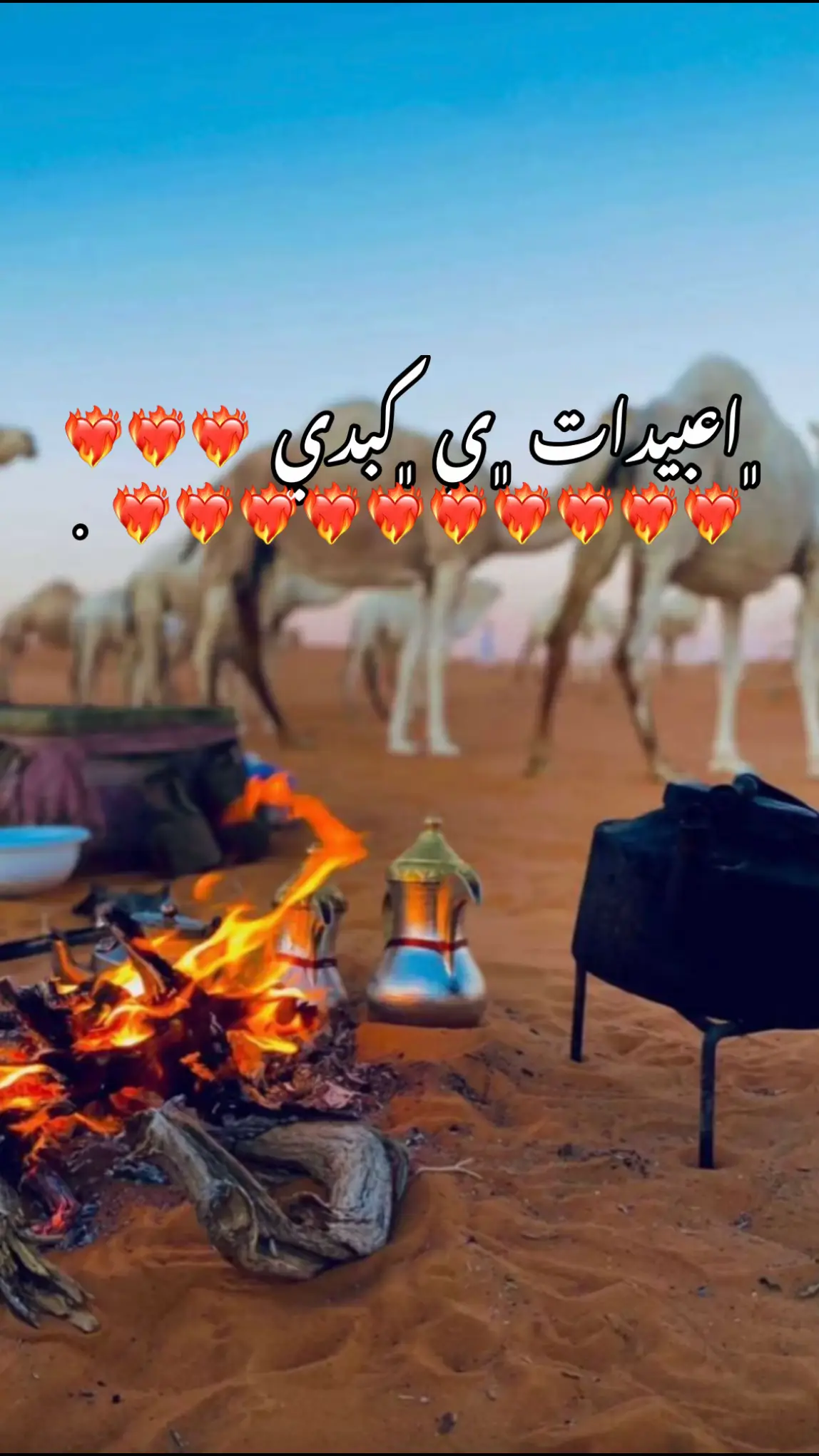 #اعادة_النشر🔃 #يا_كَلبي_بسك_تون_ونك_هدم_حيلي #الشعب_الصيني_ماله_حل😂😂 #الشعب_الصيني_ماله_حل #بيت_شعر #يا_كَلبي_بسك_تون_ونك_هدم_حيلي #شتاوي_غناوي_علم_ليبيه #غناوي_علم_فااااهق🔥 #اعبيدات_يادولة♥️🎻 #اعبيدات_ماناا_تلاميد✌♥😉 #عيت_منصوري_ياكبدي🔥🔥 #عيت_غيث🦅روس_لعبيدات #العبيدي #العبيدي_دولة_وعلم #العبيدات #العبيديه_يعني_الاصاله_ولفخر #العبيديهه🤍 #العبيدي #العبيدية 