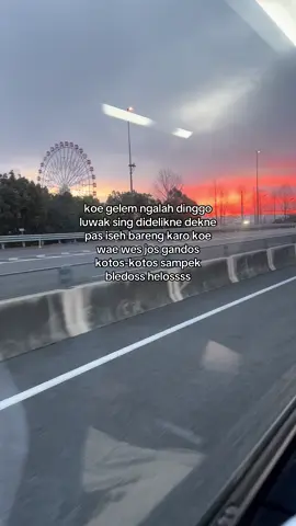 Ngalah bukan berarti kalah,tapi mikir “podo geleme nyapo kudu tak gondeli ?” respect,kowe menang sekabehane wisan #fyp #4u #jowopride #jowostory #kenshuseijapan🇮🇩🇯🇵🎌 #jishusei🇯🇵🇲🇨 #xyzbca #foryou #ramarif 