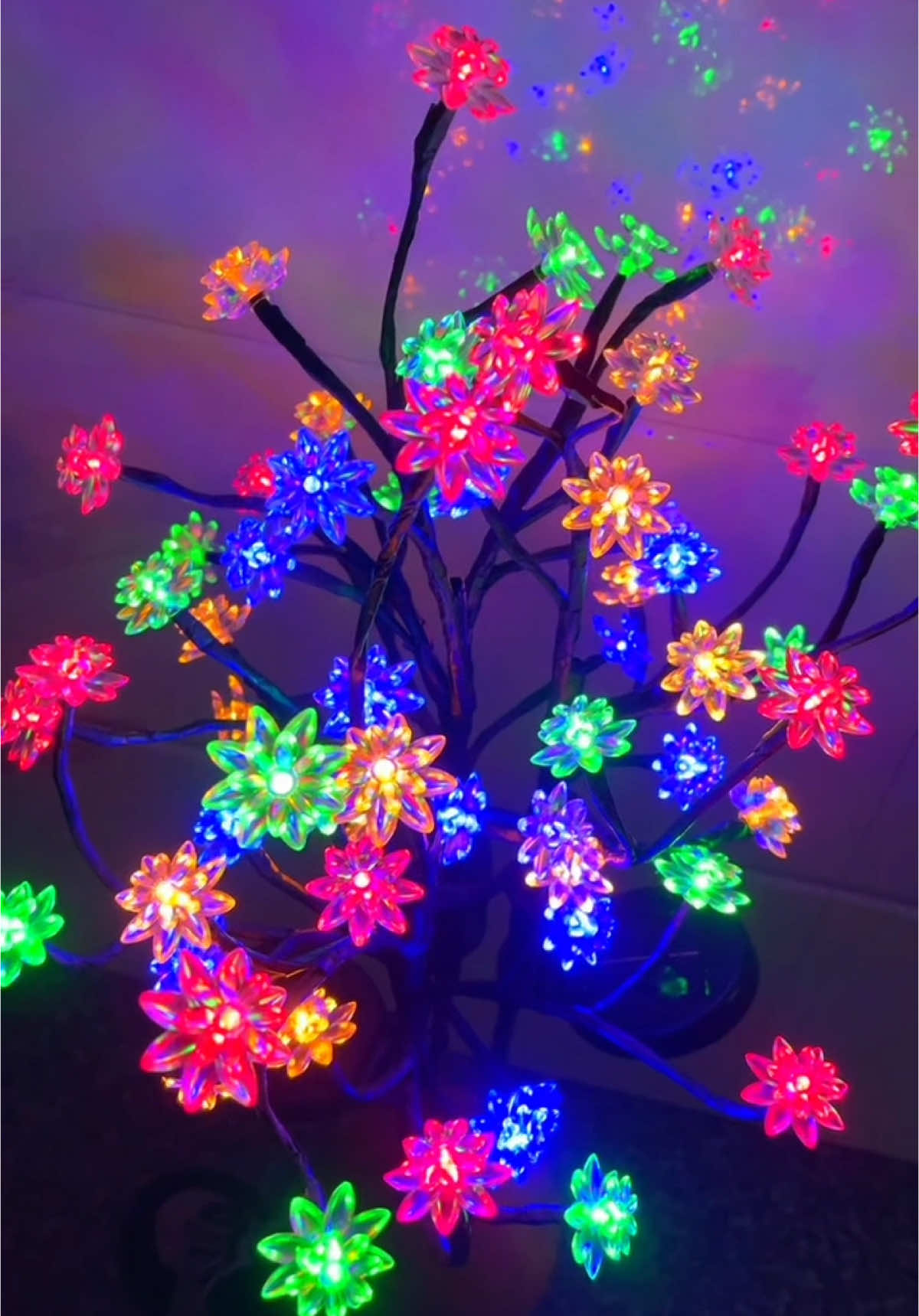 @ชั้นG @ชั้นG โคมไฟ LED ดอกซากุระ 20 ดวง ไฟดอกไม้พลังงานแสงอาทิตย์หลากสี ไฟตกแต่งสวนกันนำพร้อมแผงชาร์จพลังงานแสงอาทิตย์สำหรับลาน ทางเดิน ลาน สนามหญ้า บ่อนำ ลานด้านข้าง #ไฟปักสนามโซล่าเซลล์ #ไฟตกแต่งโซล่าเซลล์ #ไฟดอกไม้โซล่าเซลล์ #รีวิวไฟโซล่าเซลล์ 