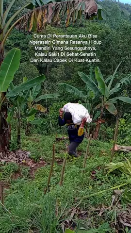 #CapCut  tetap lah semangat kawan 😎😎😎