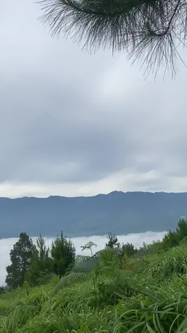 View bur tujung🌥️#fyppppppppppppppppppppppp #gayolues #fyp 