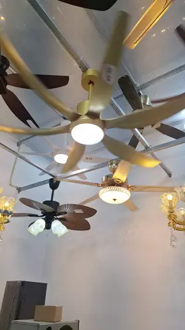 quạt trần quốc dân #xuhuongtiktok #quat 