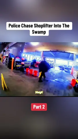 Police Chase Shoplifter Into The Swamp. Part 2 #cops #crime #law #fyp #viralvideo #usa🇺🇸 