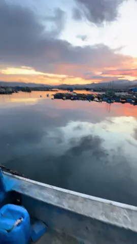 lòng em đau nhói…