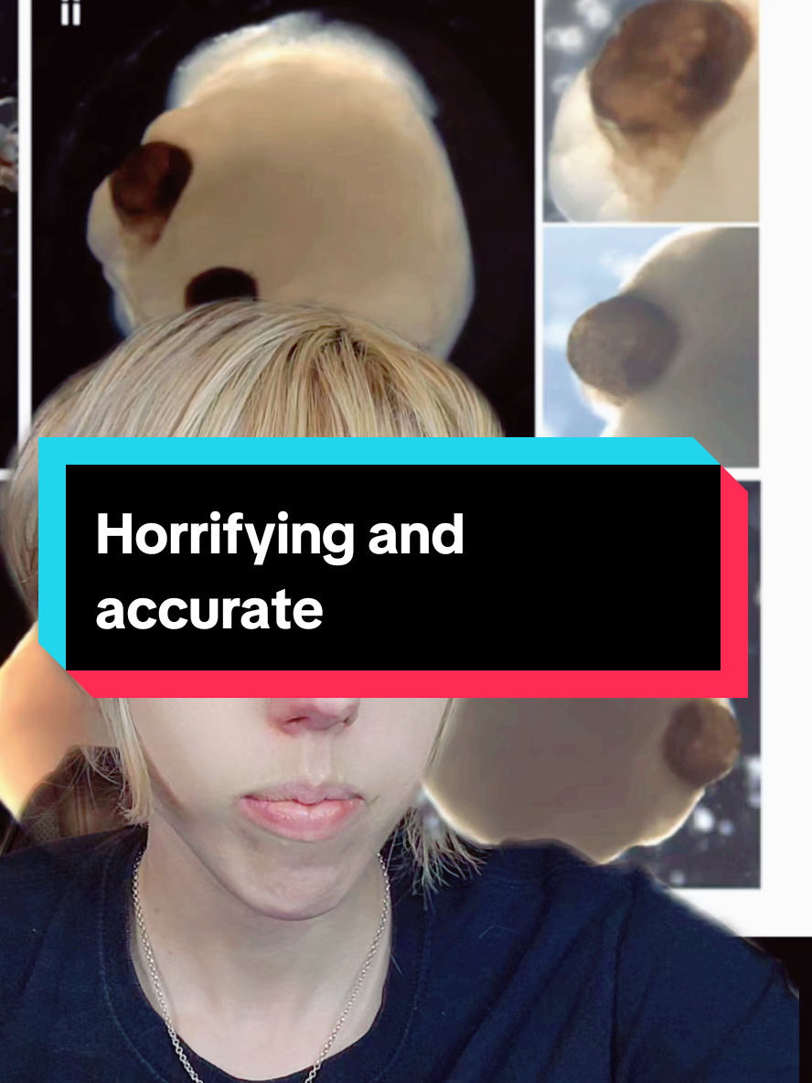 Replying to @_aioli That is 