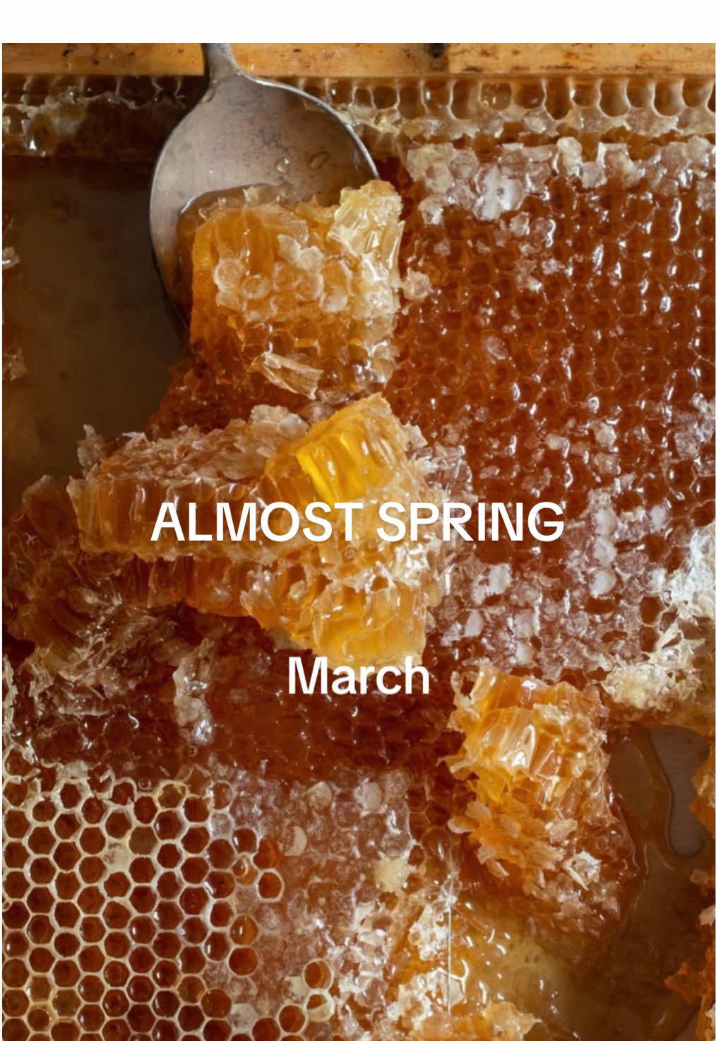 just a few days late 💛 #march #moodboard #pinterestaesthetic #spring #pinterest #Lifestyle #springvibes #Lifestyle #visionboard #aesthetic 