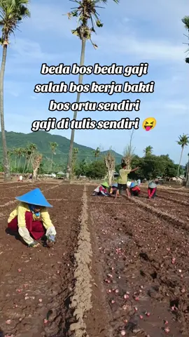 bissmillah jadi bos😁 #GenZbertani #petanimuda #petanibawangmerah #petaniindonesia🇮🇩🇮🇩🇮🇩🌿🌿 