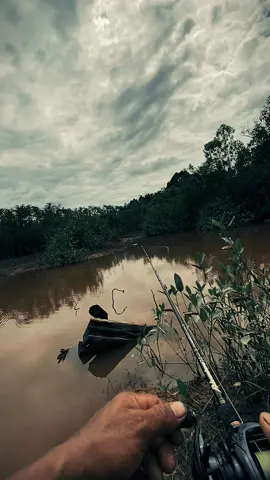 Lagi ikut trend capcut jedakjeduk mancing😁🤭🎣#CapCut#mancing#jj #castinggabus #castingfishing🎣 #trending #fyp 