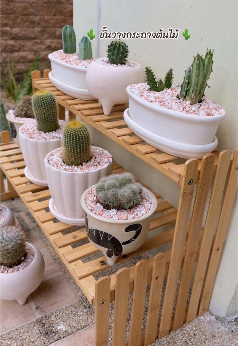 🌵ชั้นวางกระถางต้นไม้ ทำจากไม้ สวยสไตล์ มินิมอล 🌟#ชั้นวางของอเนกประสงค์ #ชั้นวางของ #ชั้นวางต้นไม้ #ชั้นวางของมินิมอล #ชั้นวางของทำจากไม้ #🌵 