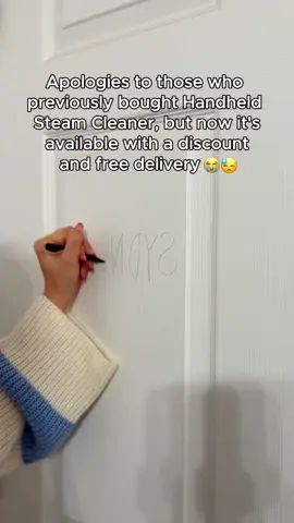 Steam cleaner #steamcleaner #cleaning #doorcleaning #windowscleaning #fyp 